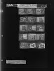 Woman with Photos and Blanket (15 Negatives), September 20-23, 1967 [Sleeve 53, Folder d, Box 43]